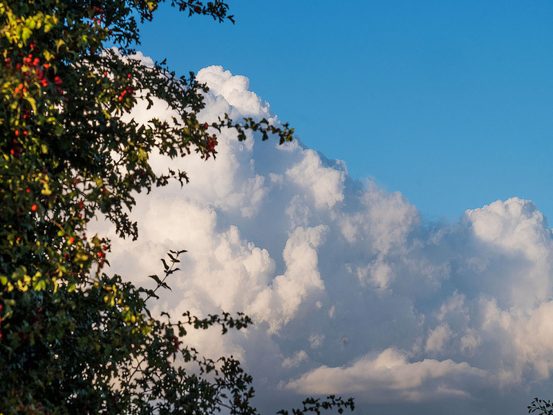 4th Sept - SEPTEMBER