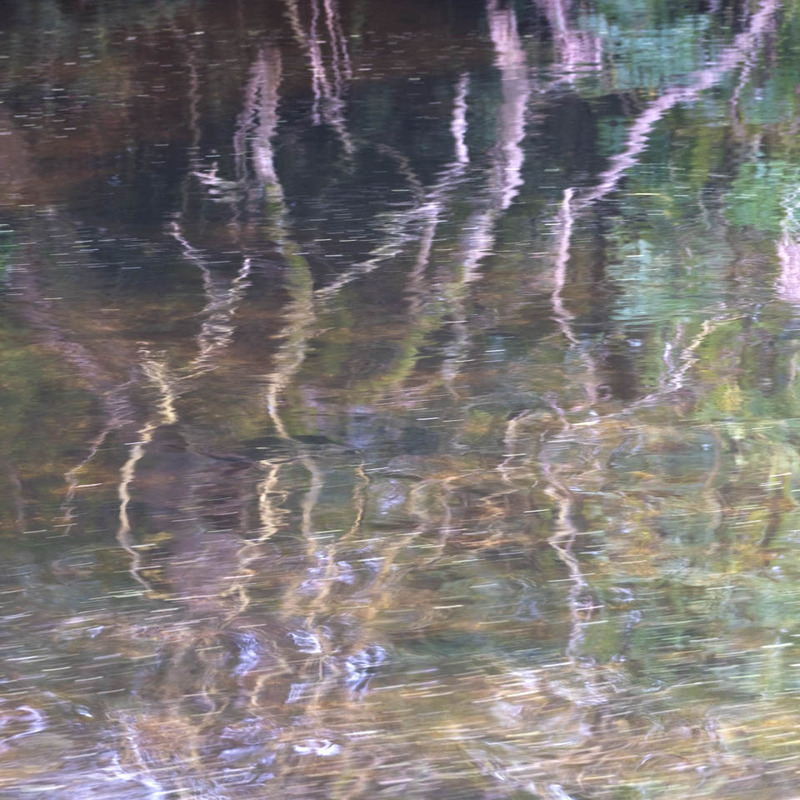 22nd Oct Tree Reflections - OCTOBER