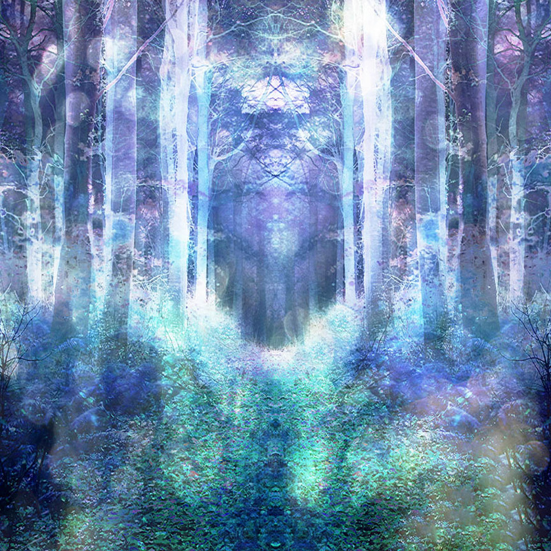 Dreamtime - IMPRESSIONS