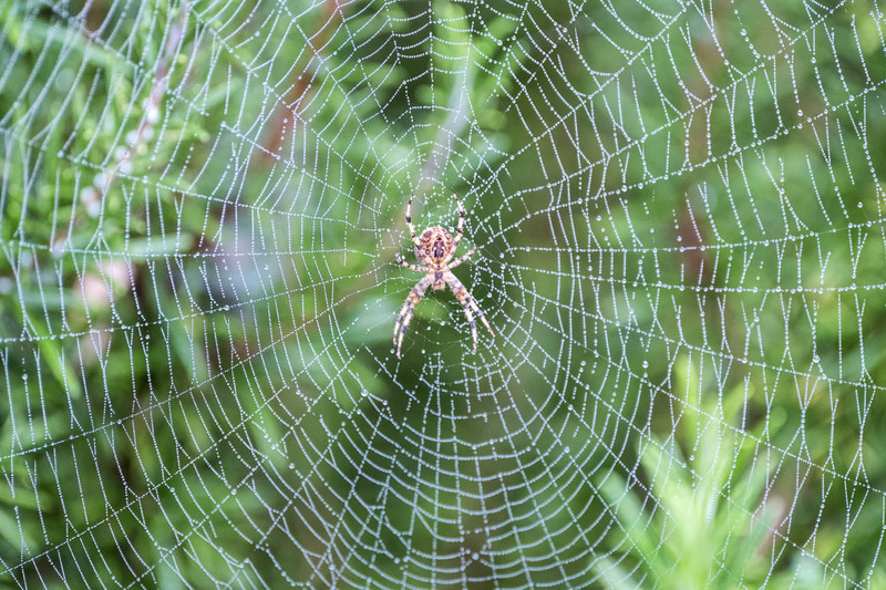 7th Nov Waiting - NOVEMBER