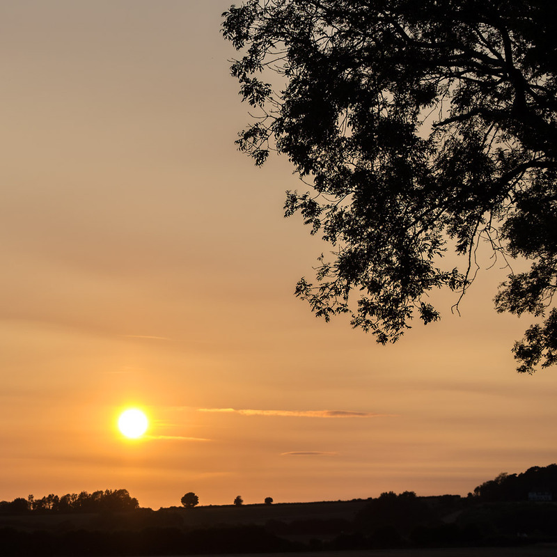 14th August Setting Sun - AUGUST