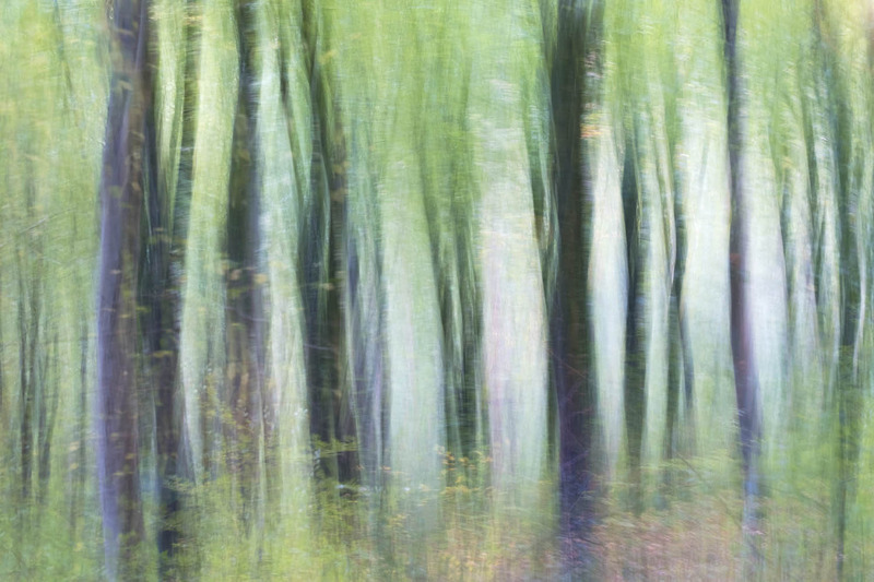 23rd Oct Sentinels - OCTOBER