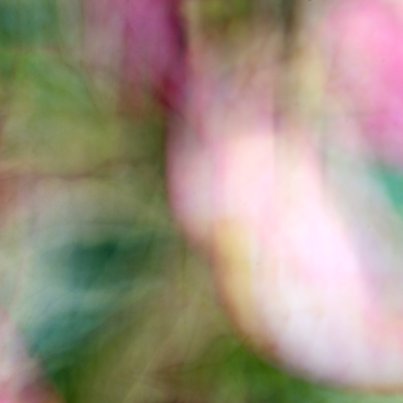 7th June Houtinya Abstract - JUNE
