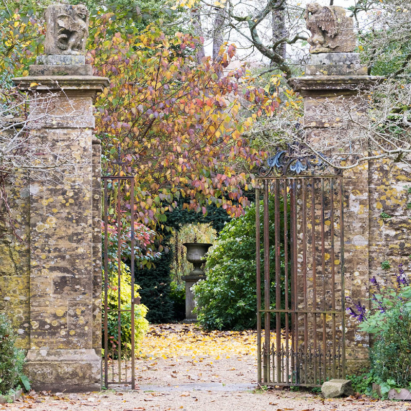 9th Nov Athelhampton Gardens - NOVEMBER