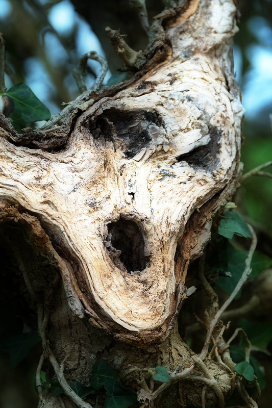 27th March Scream - MARCH