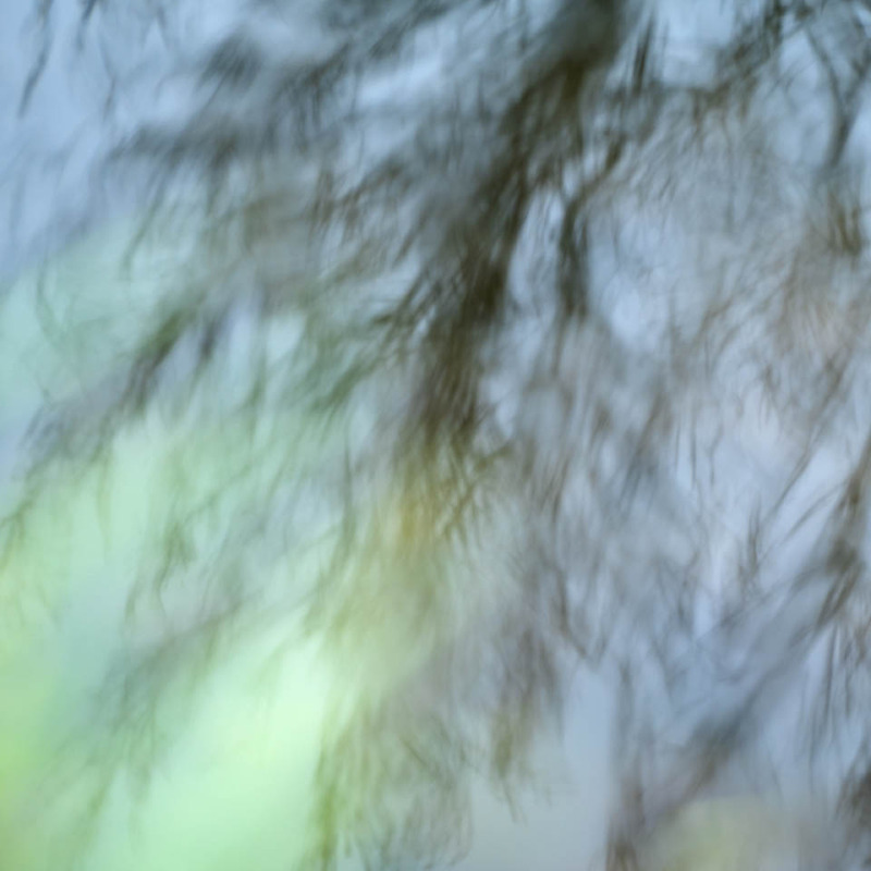 19th March Traces - MARCH