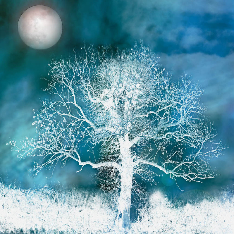 Moon Magic - TREES & WOODLAND