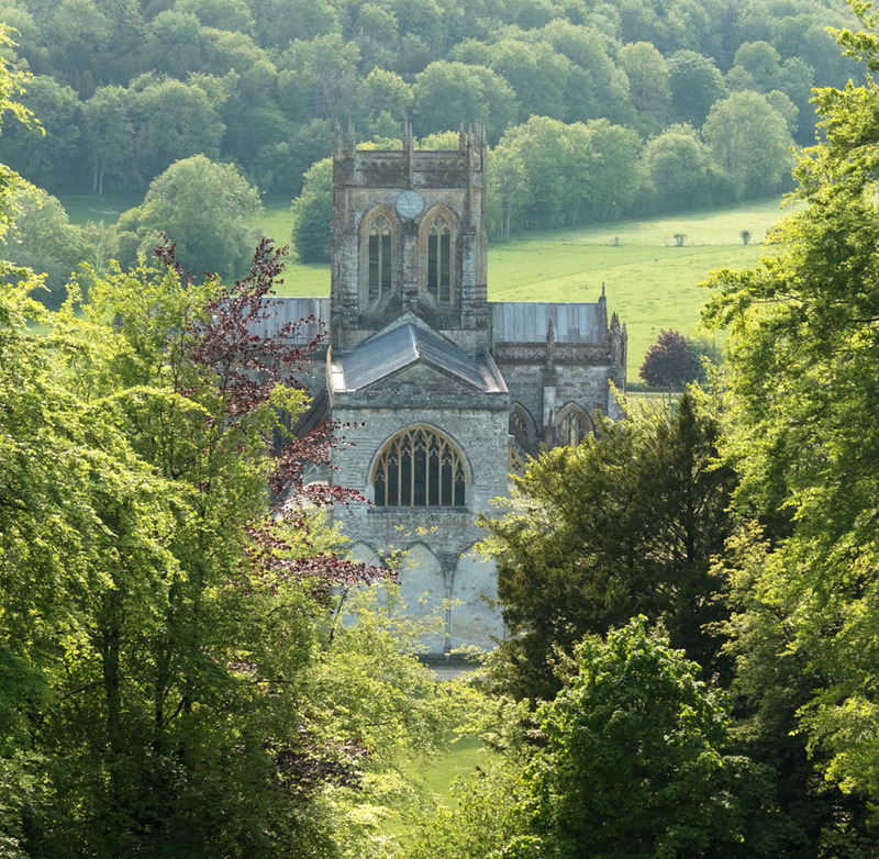Summer at Milton Abbey - LANDSCAPE