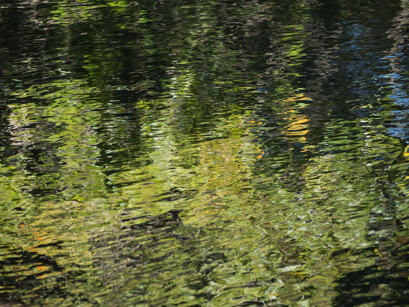 25th September Reflections - SEPTEMBER