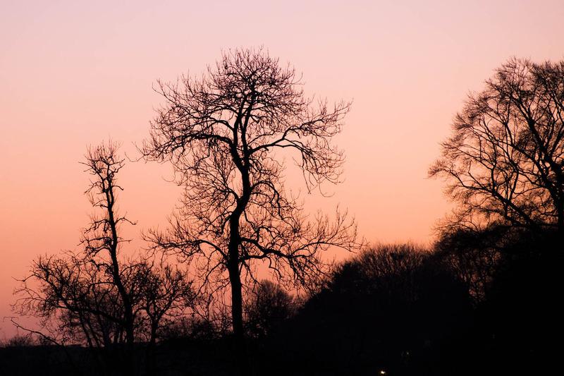 10th Dec Sunset Silhouettes - DECEMBER