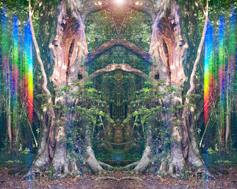 6th Oct Beech Light - OCTOBER