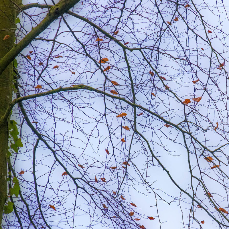 28th January Remnants - JANUARY