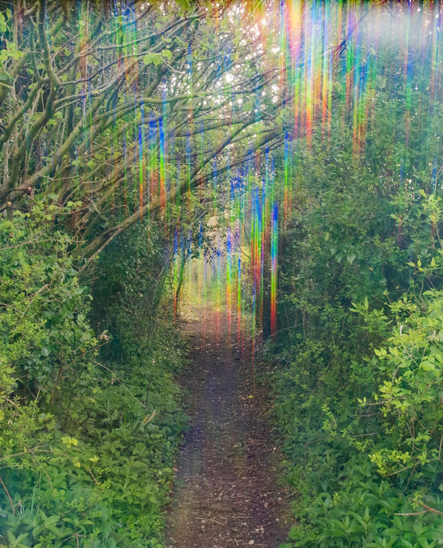 25th April Light Path - APRIL