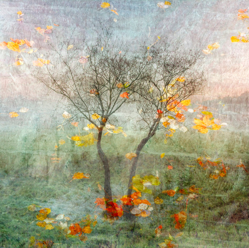 Life Returns - IMPRESSIONS