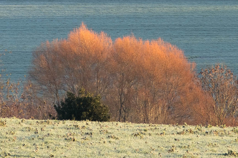 26th Nov Burnished - NOVEMBER