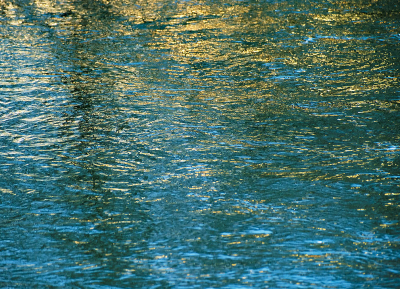 14th March Blue & Gold - MARCH