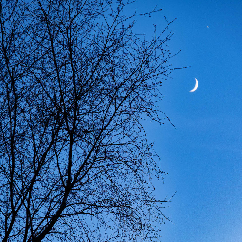3rd January Moon & Venus - JANUARY