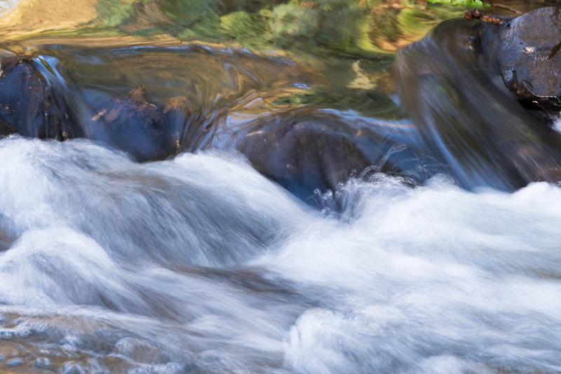 30th Dec River Cerne - DECEMBER