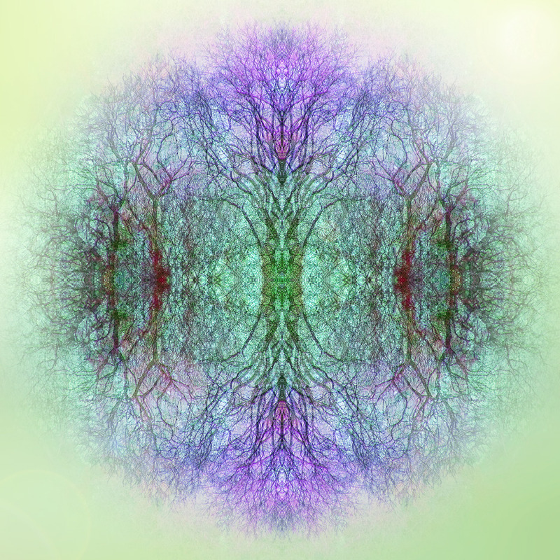 Woodland Spirit - IMPRESSIONS