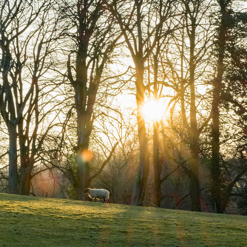 3rd March Sun Rays - MARCH