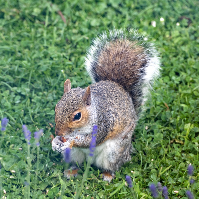 1st June Breakfast Time - JUNE