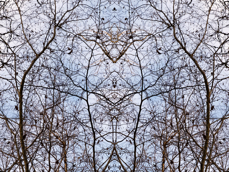 30th January Mirrored - JANUARY