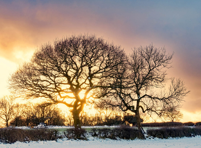 9th January Sunset Okeford Hill - JANUARY