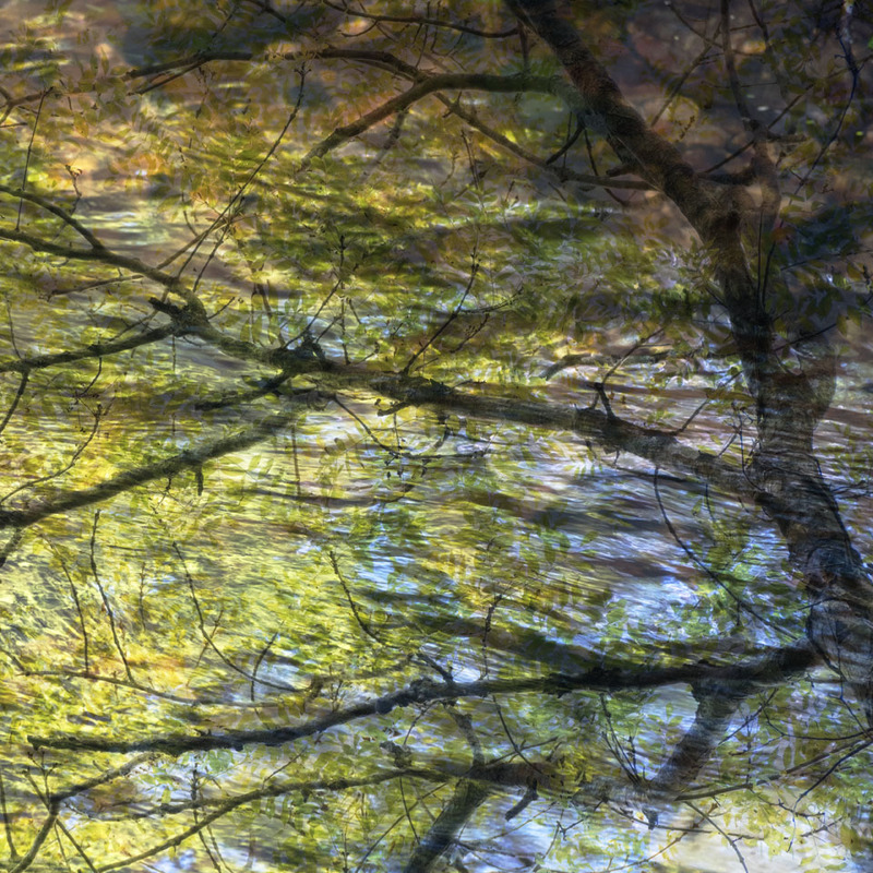 13th Sept Ash River - SEPTEMBER