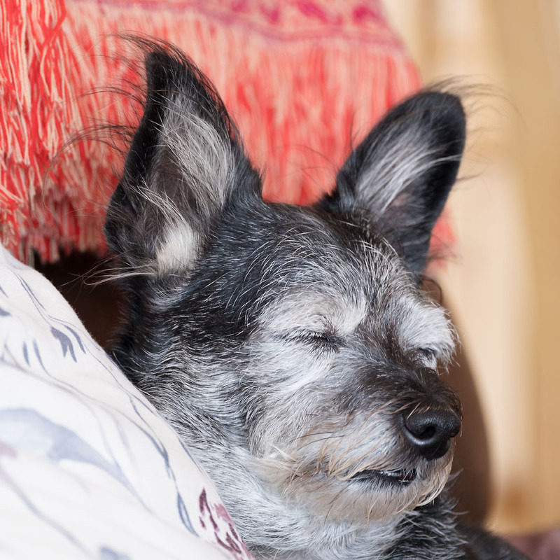 15th Sept Snoozy Afternoon - SEPTEMBER