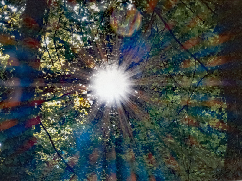 9th Sept Sunburst - SEPTEMBER