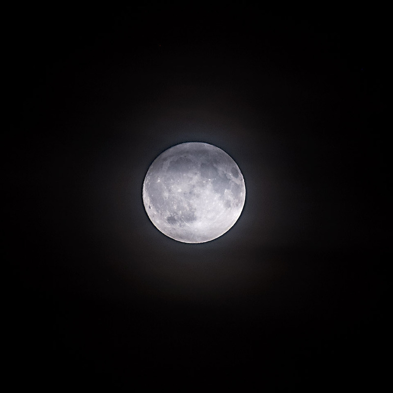 8th August Sturgeon Moon - AUGUST