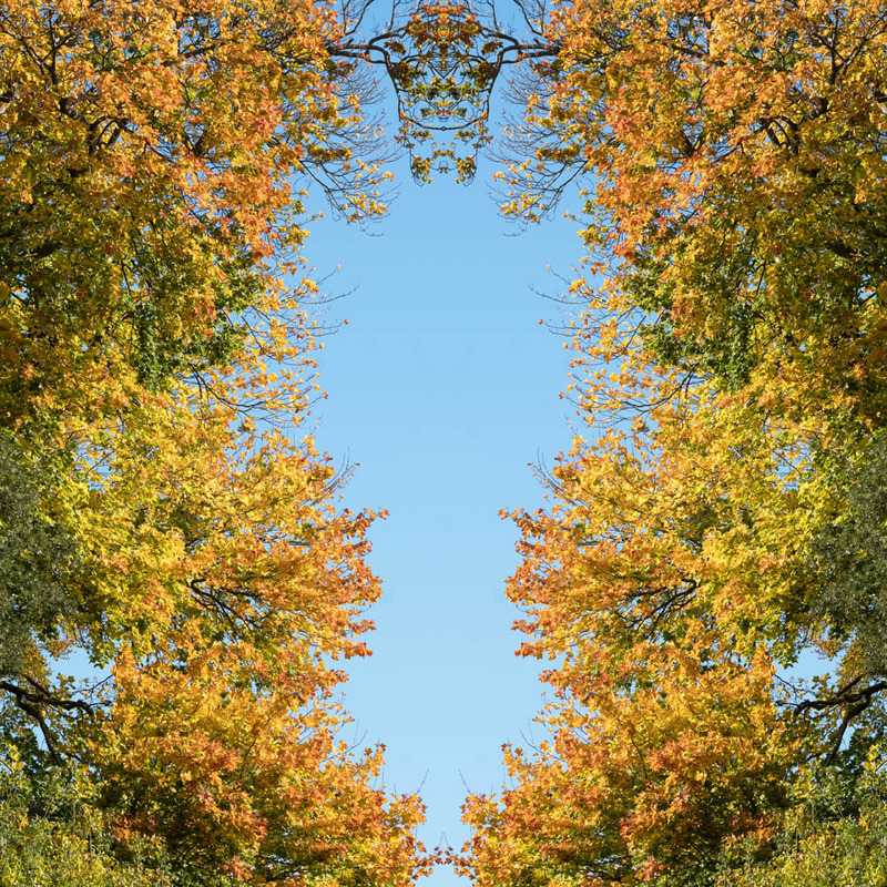 24th October Autumn Glory - OCTOBER