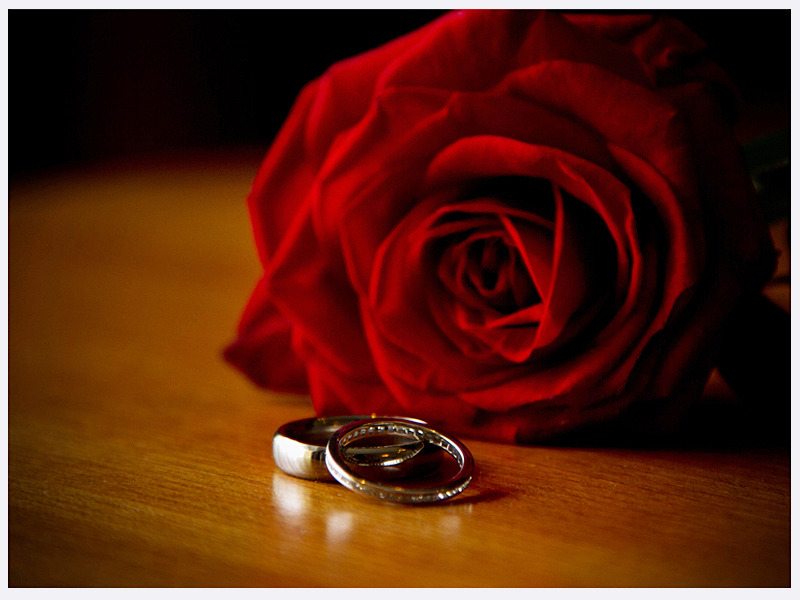 Weddings | Lewes Sussex | Rachael Edwards Photography