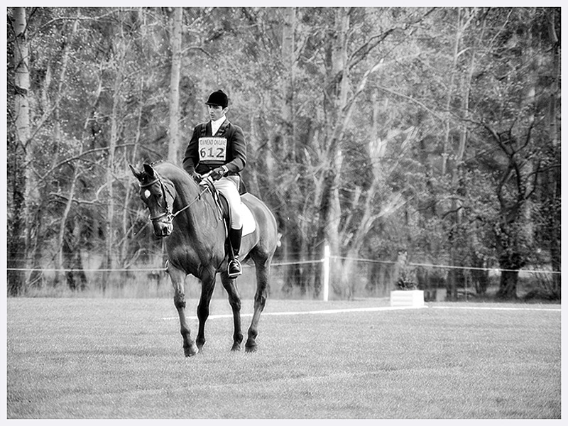 Artistic Dressage Photography | Sussex | Rachael Edwards