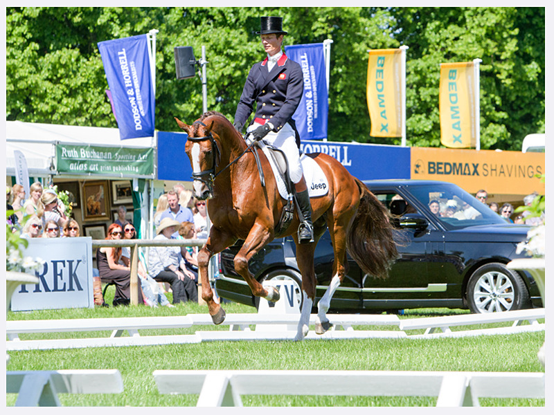 William Fox Pitt | Dressage Photography | Rachael Edwards