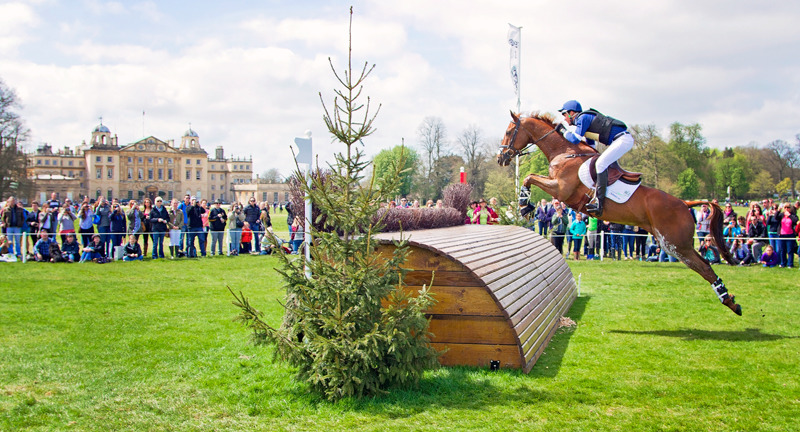 Jock Paget | Badminton Horse Trials | Rachael Edwards Photography
