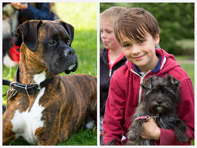 Dog & Portrait Photography | Natural Portraits | Rachael Edwards