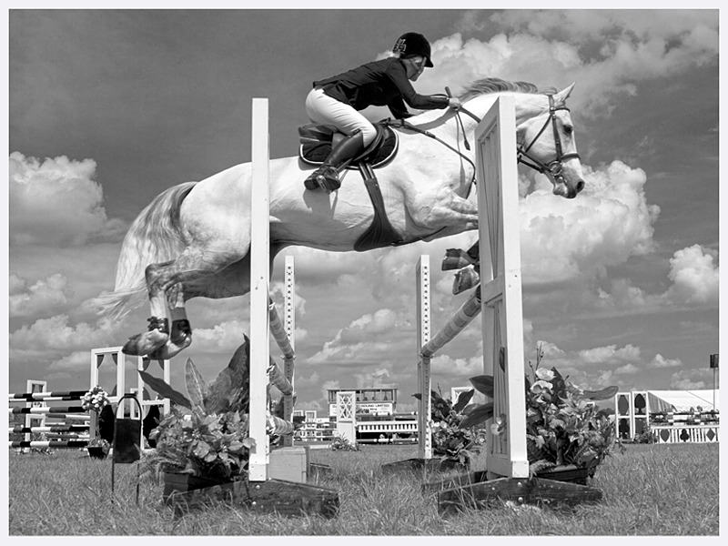 Show Jumping Photography | Cheshire Show | Rachael Edwards Photography
