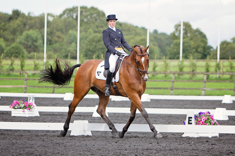 Dressage Photography | Lewes Sussex UK | Rachael Edwards