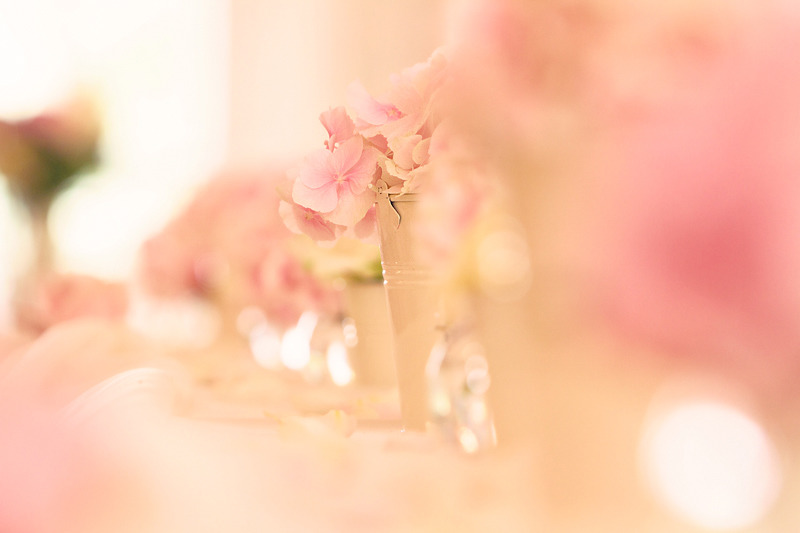 Pink Flowers | Wedding Photography Lewes | Rachael Edwards