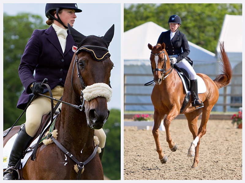 Equestrian Competition Photography | Sussex | Rachael Edwards