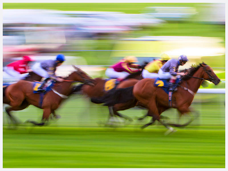 Horse Race Art | Wall Art | Unique