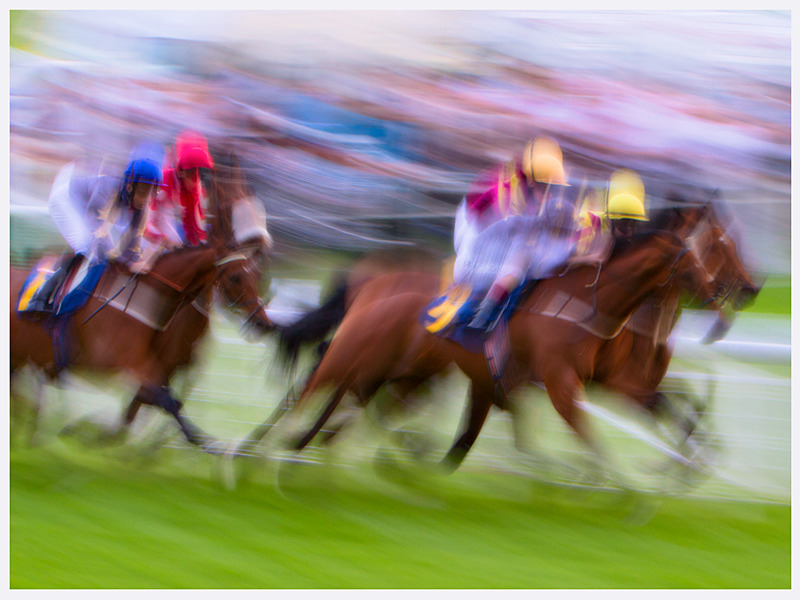 Horse Racing Art | Unique | Rachael Edwards