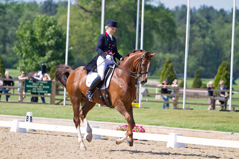 Dressage | Equestrian Photography | rachaeledwardsphotography.co,uk