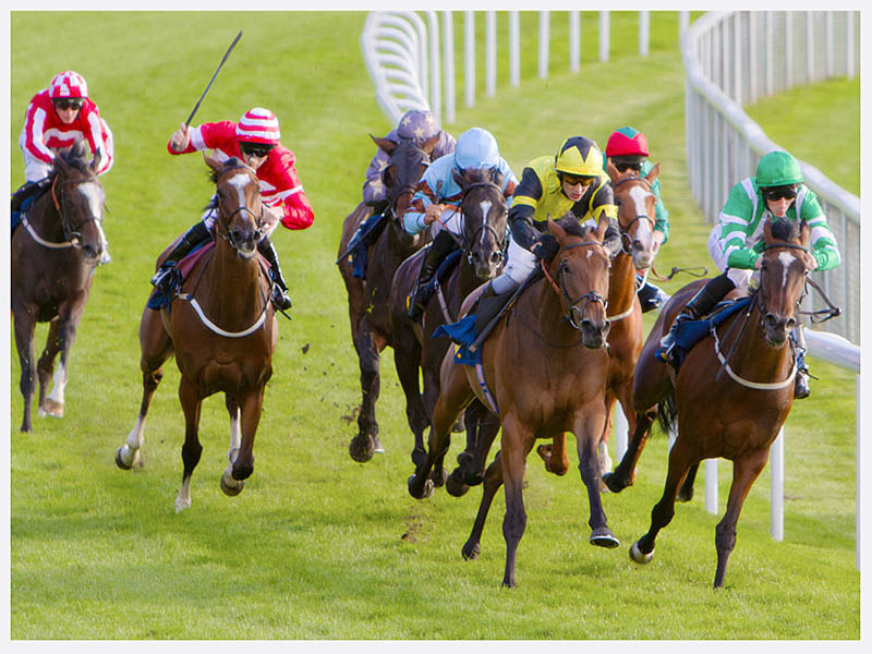 Horse Racing Photography | Sussex Cheshire | Rachael Edwards