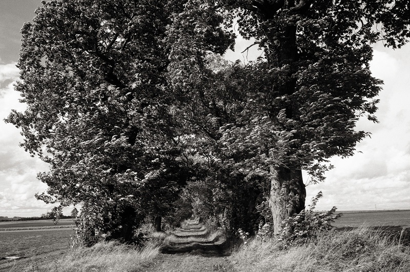 La Sucrerie British Military Cemetery, Somme, by Toby Webster