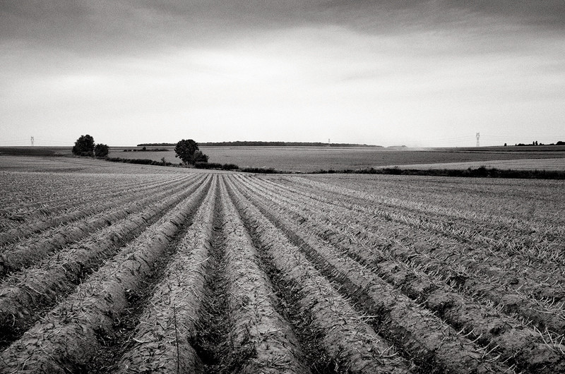  - The Somme