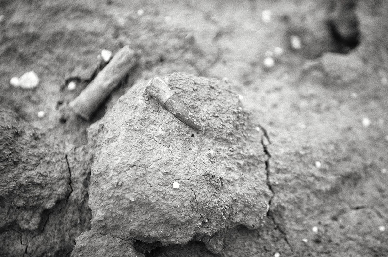  - The Somme