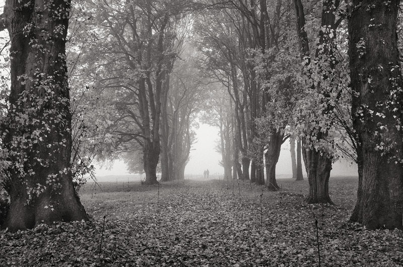  - The Somme