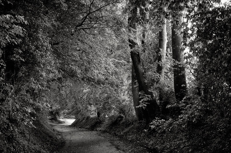  - The Somme